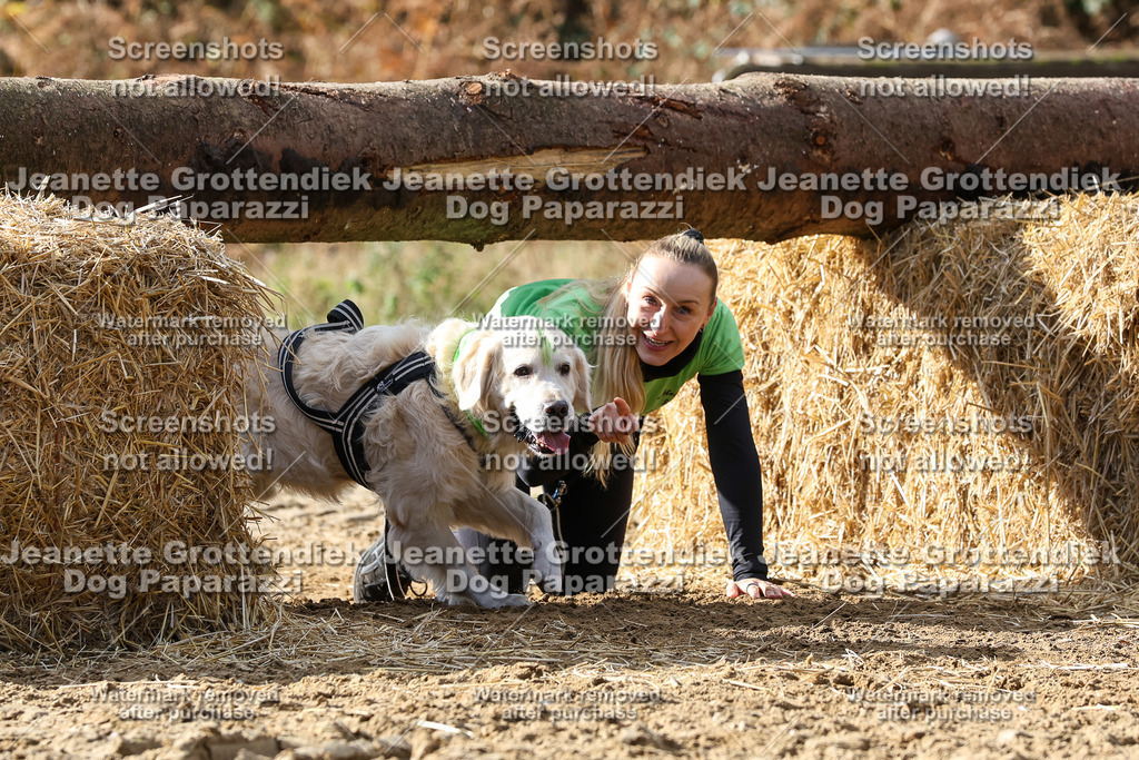 Dog Paparazzi - Strongdog 10-25-5105 | Dog Paparazzi Jeanette Grottendiek Fotografie & Videografie - Realisiert mit Pictrs.com