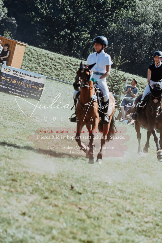 DSC_6235 | Pferde- und Turnierfotografie in Westsachsen. Pferdeportraits, Auftragszeichnungen und intuitive Kunst.