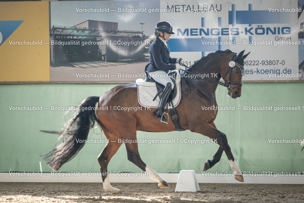 _D5A0803 | Emotionale Pferde- & People-Fotografie rund um Heidelberg, Leimen & Umgebung. Natürliche Fotos von Pferd, Mensch & Familie. Jetzt Termin sichern!