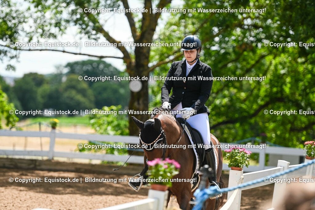 20230716_03_Dressurprfg. Kl.L - Tr._0126 | equistock