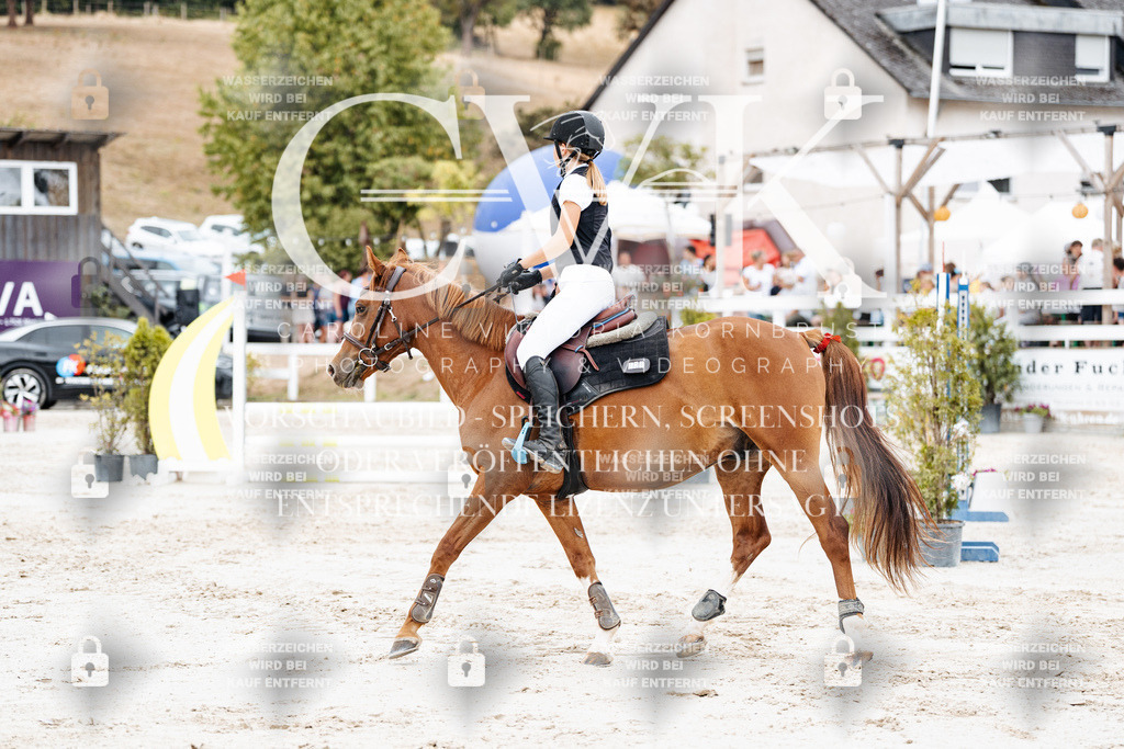 CK908215 | Turnierfotografie Pferdefotografie Trier Rheinland-Pfalz Pferdesport Reitsport Tierfotografie Sportfotografie Pferdevideo Pferdevideografie Equestrianvideography equestrianphotography  - Realisiert mit Pictrs.com