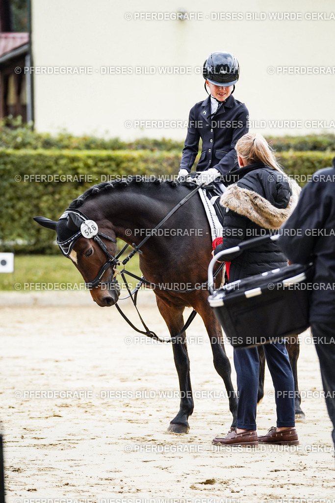 DSC05749 | Pferdegrafie