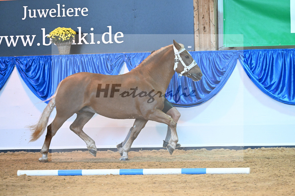 Kat-Nr. 64 Heleni_Hoeck_53220213 | hf-fotografie - Realisiert mit Pictrs.com