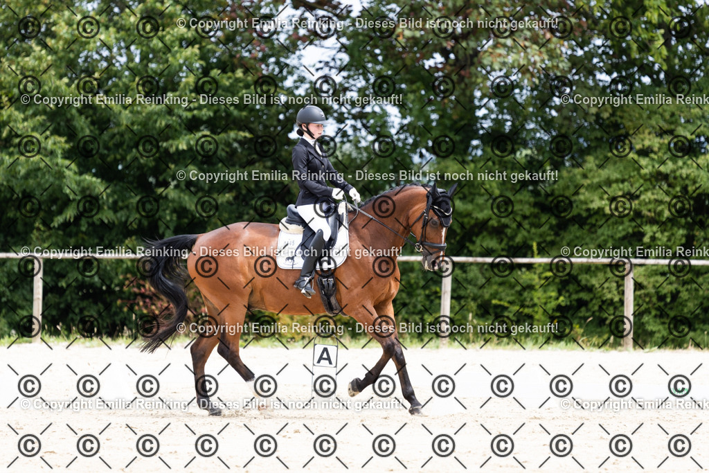 CL5A3690 | Emilia Reinking Fotografie - Realisiert mit Pictrs.com