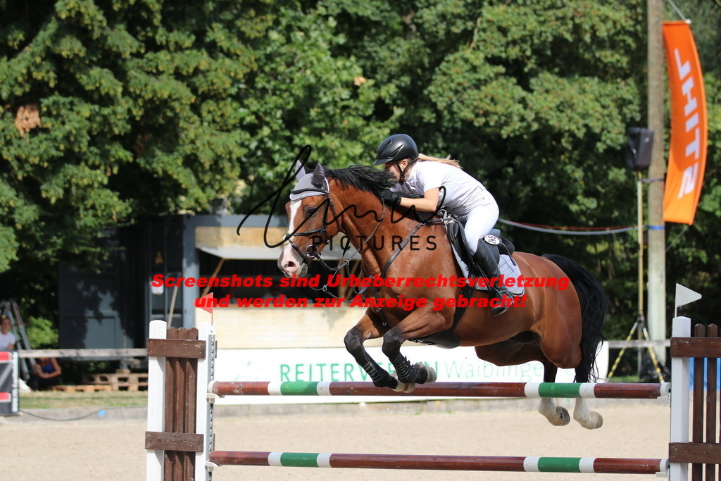 IMG_0766 | lmwpictures - Realisiert mit Pictrs.com