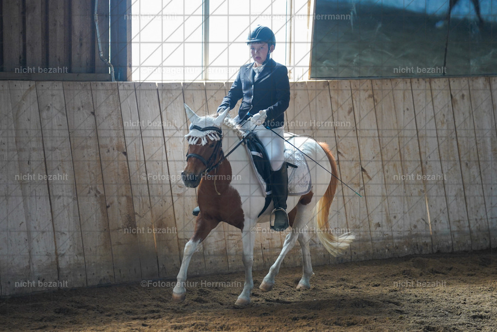 20230916-FAH08597 | Landsberg am Lech 2023, Turnierbildern, Turnierbilder Bayern, Reitsportfotograf, Pferdefotograf Bayern, Turnierfotos Landsberg, Fotoagentur Herrmann, Turnierfotografen Bayern