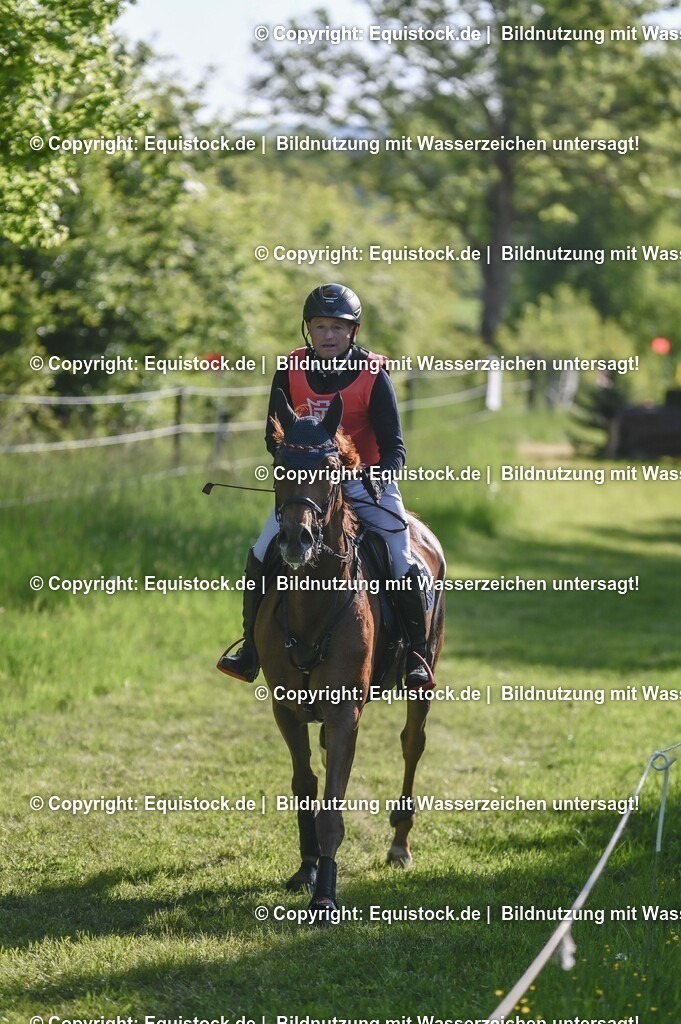 20250517_CCI2_Gelände_0349 | Foto: Thomas Hartig