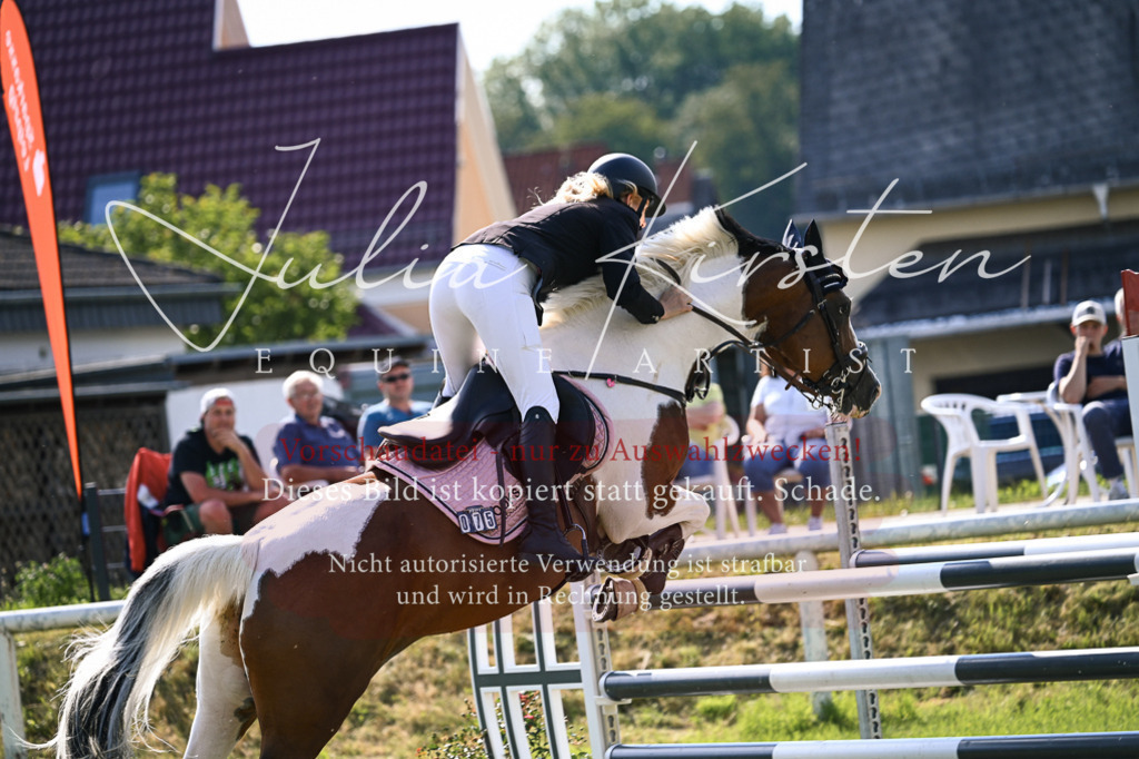 DSC_1122 | Pferde- und Turnierfotografie in Westsachsen. Pferdeportraits, Auftragszeichnungen und intuitive Kunst.