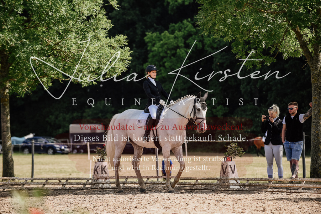 DSC_0376 | Pferde- und Turnierfotografie in Westsachsen. Pferdeportraits, Auftragszeichnungen und intuitive Kunst.