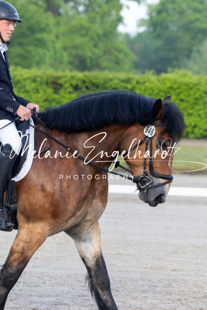 7I8A1872 | melanie-engelhardt-photography - Realisiert mit Pictrs.com