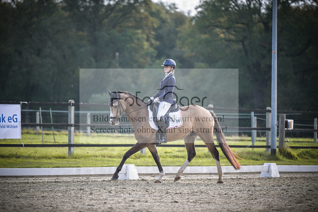 DOS_B025 | Entdecke hochwertige Reitturnierfotos von Foto Oger. Professionell, emotional und authentisch – jetzt Lieblingsmomente im Shop bestellen.Deutschlandweite Turnierfotografie. - Realisiert mit Pictrs.com