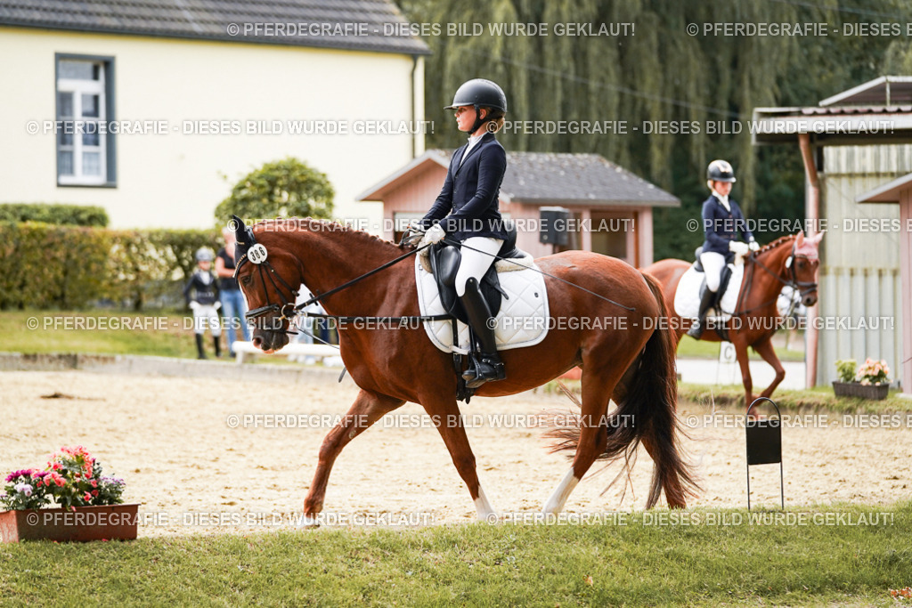 DSC09540 | Pferdegrafie