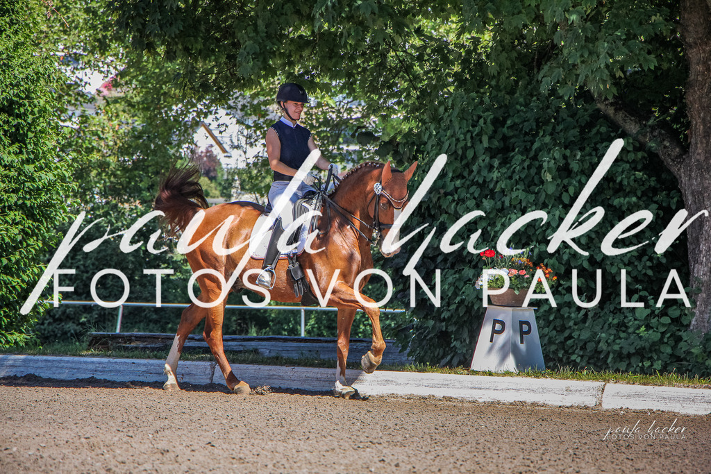 IMG_0317 | Erleben Sie dynamische Sport- und emotionale Tierfotografie in Süddeutschland mit Fotos von Paula. Spezialisiert auf Pferde- und Hundefotografie sowie Sportevents. Kontaktieren Sie mich für einzigartige und ausdrucksstarke Bilder Ihrer besonderen Momente. - Realisiert mit Pictrs.com