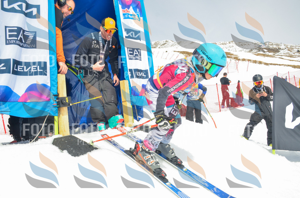 _ELE8090 | holidayphoto