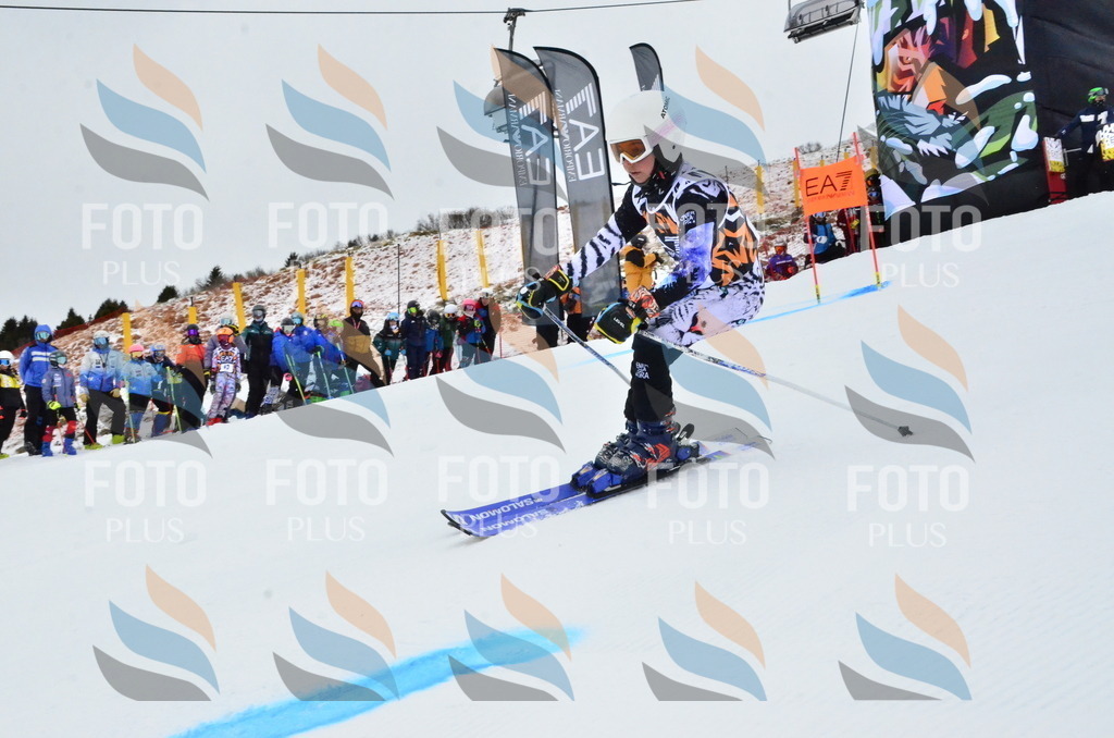 _ELE3144 | holidayphoto