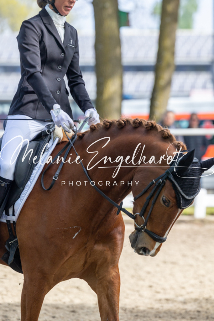 7I8A1095 | melanie-engelhardt-photography - Realisiert mit Pictrs.com