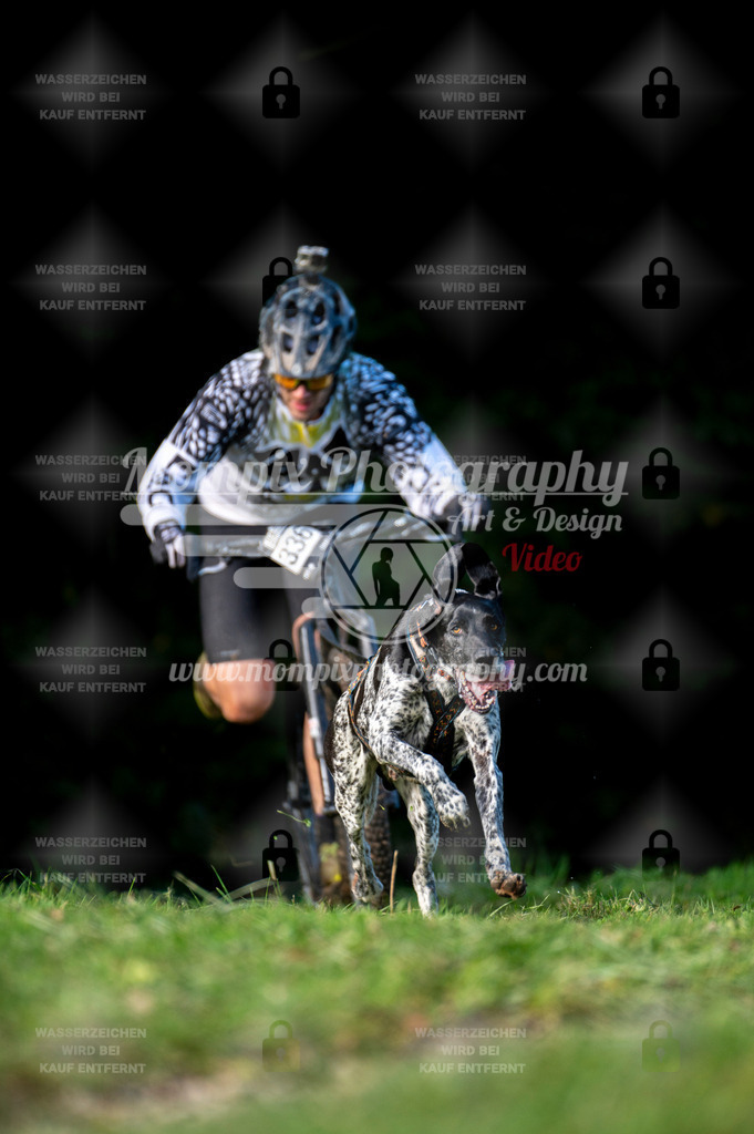 TSB_2023_E7_DS1-3 | PayLife