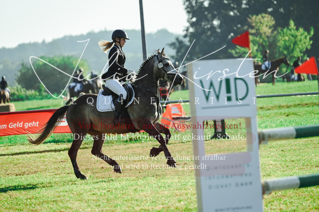 DSC_4452 | Pferde- und Turnierfotografie in Westsachsen. Pferdeportraits, Auftragszeichnungen und intuitive Kunst.