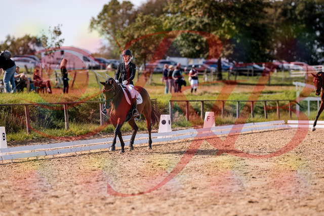 2026_10_03_Siefer-Hof_130718_Z81_58177958 | Professionelle Reitsport-, Turnier- und Eventfotografie von Robert Broda. Galerien mit ausgewählten und bearbeiteten Bildern direkt online ansehen und bestellen.