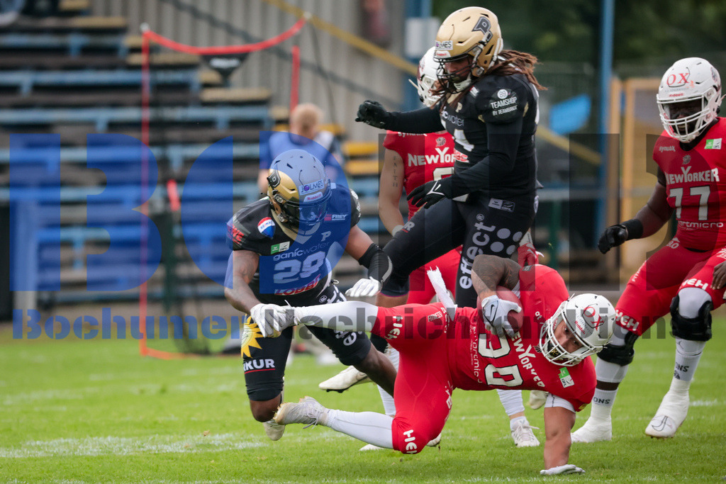 GFL: Paderborn Dolphins vs. New Yorker Lions{date} -  | {headline}(Foto: Sebastian Sendlak / BOND) - Realisiert mit Pictrs.com