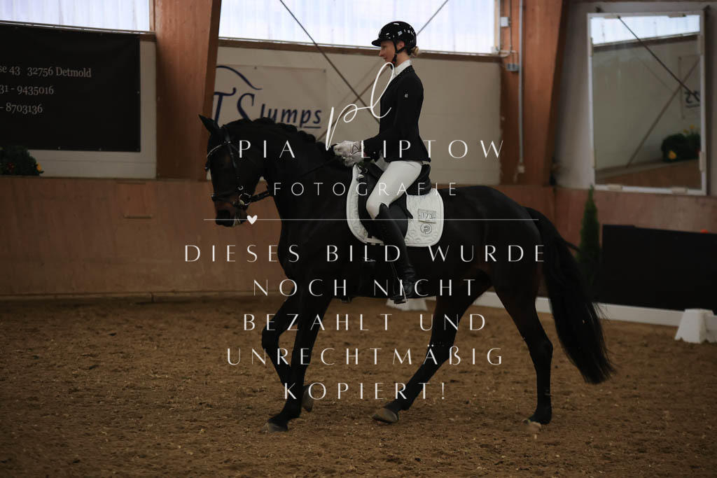 IMGT9502 | pl-fotografie