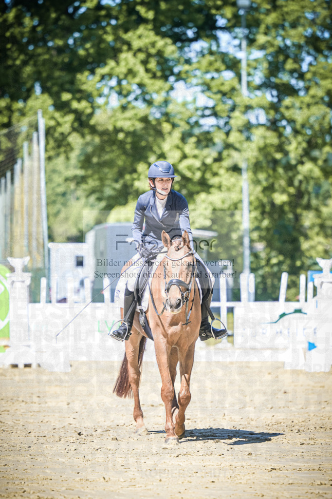 DOS_5709 | Entdecke hochwertige Reitturnierfotos von Foto Oger. Professionell, emotional und authentisch – jetzt Lieblingsmomente im Shop bestellen.Deutschlandweite Turnierfotografie. - Realisiert mit Pictrs.com