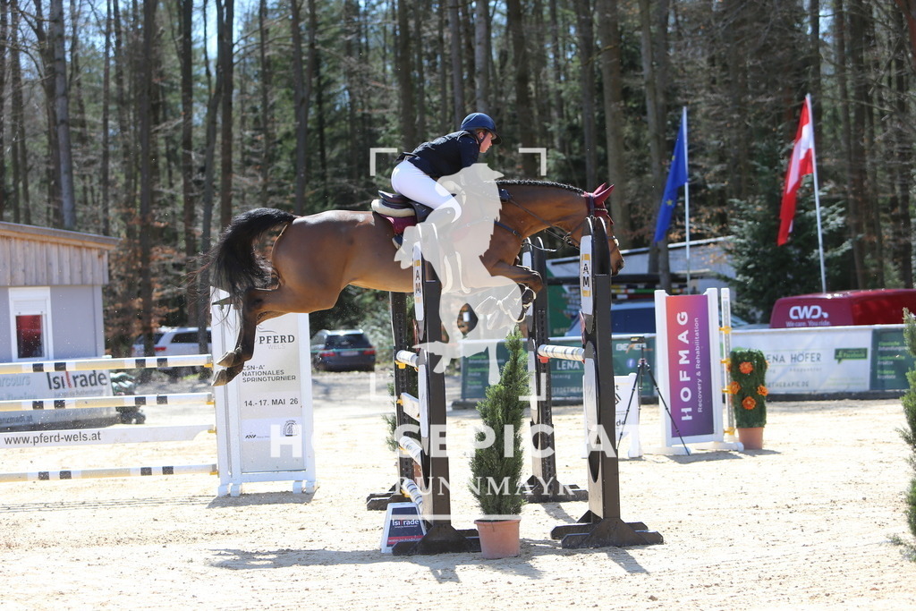 DL2Q5376 | Willkommen bei Brunnmayr - Design & Fotografie – Ihrem Spezialisten für Reitturniere und Pferdeveranstaltungen in Oberösterreich, Salzburg und Bayern! Seit über 17 Jahren sind wir leidenschaftlich dabei.