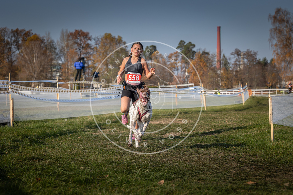 CaniXpix_0L8A9203 | Hundefotografie, Tierfotograf, Pfotenfotografie, Fotoshooting Hund, Hunde Portrait, Hundesport, Hundeportraits, Heideshooting, Hunde, Sportfotograf, Hundefotograf, Turnierhundsport, THS,  - Realisiert mit Pictrs.com