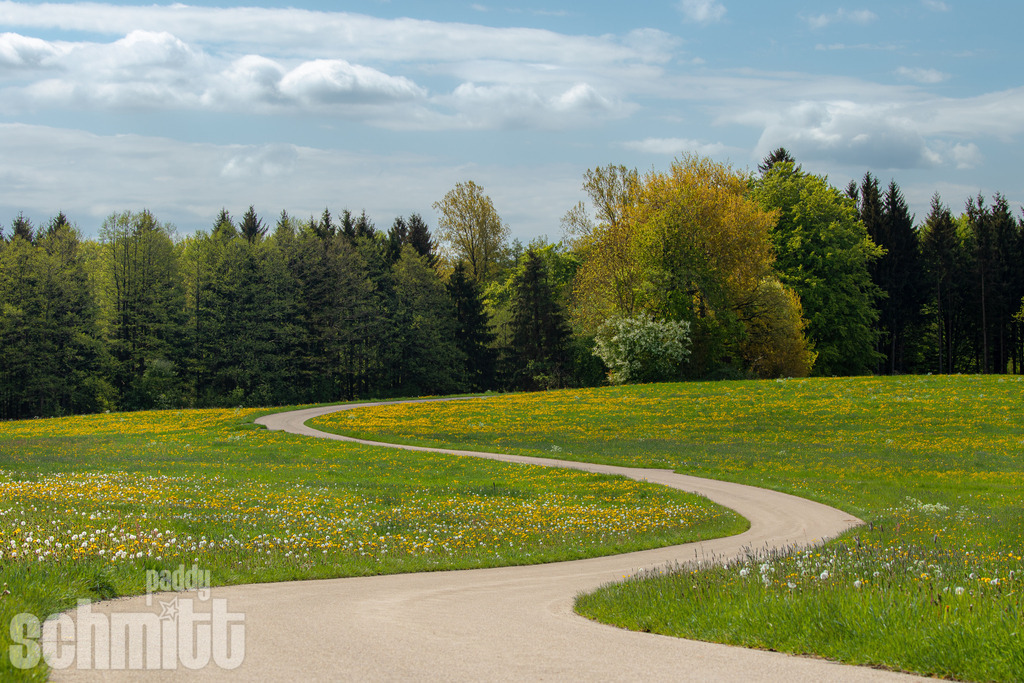 PS-Wege-2026-8 | Entdecke die größte Bildgalerie der Region mit Fotografien aus dem Allgäu, der Bodenseeregion, Oberschwaben, dem Donautal und der Schwäbischen Alb. Landschaften, Luftaufnahmen und Reisefotografie als Wandbild und Fotokunst. - Realisiert mit Pictrs.com