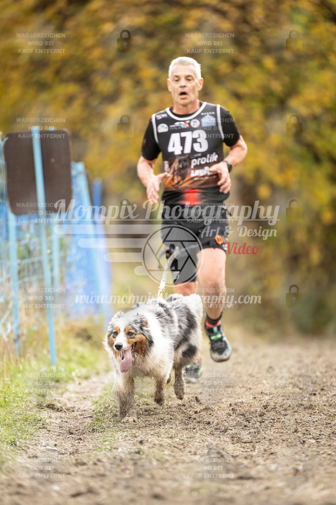MompixPhotography_ICF_WC_2024_SA_Run_-500 | PayLife