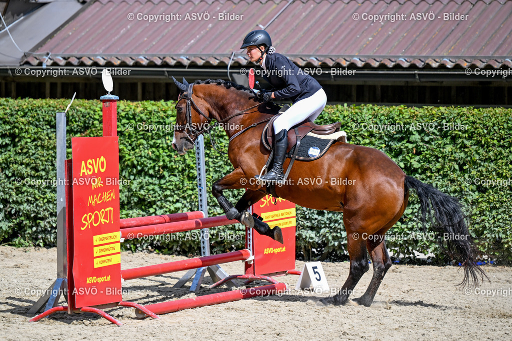 ASVÖ_ Reiten Bezirksmeisterschaft_ 24.08.2025-123 | 24.08.2025, AUT, ASVÖ, Reiten Bezirksmeisterschaft 2025Dressur und Springreiten©fodo.media / Harald Dostal - Realisiert mit Pictrs.com