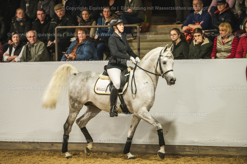 20240302_Hengstvorstellung_Marbach_TOMsPiC_1028 | equistock