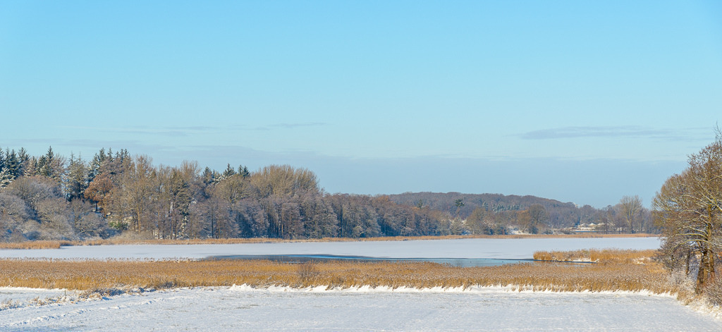 2023-365-01 | Winterstimmung am Selker Noor bei Schleswig an der Schlei. - Realisiert mit Pictrs.com