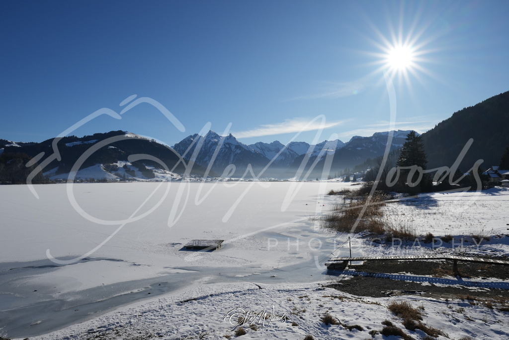 20250121_104551_AlexWoods_SA106132 | Alex Woods Photography