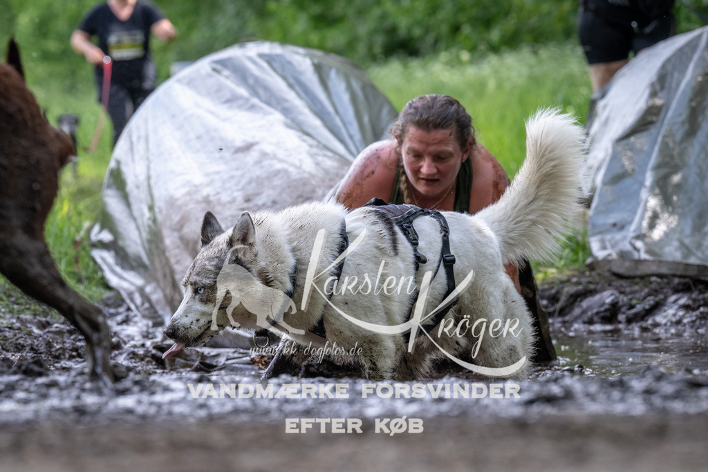 1239_ZZ92842 | kk-dogfotos