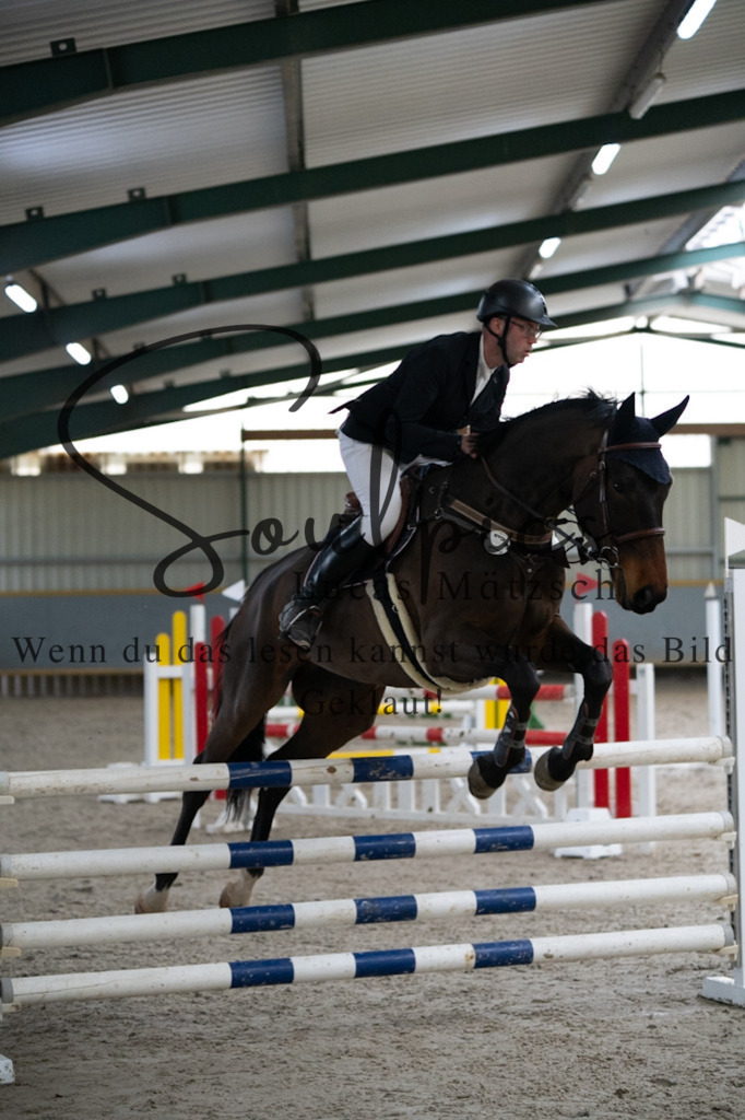 A7V08752 | Pferdefotograf