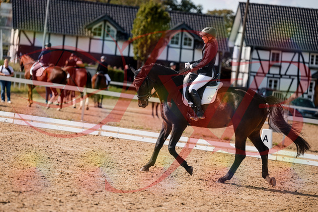 2026_10_03_Siefer-Hof_133639_Z63_97303937 | Professionelle Reitsport-, Turnier- und Eventfotografie von Robert Broda. Galerien mit ausgewählten und bearbeiteten Bildern direkt online ansehen und bestellen.