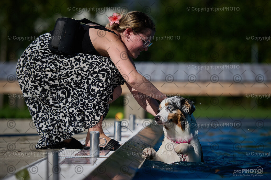 199_202509_4Hundebadetag_NZ9_2771 | proPHOTO - Realisiert mit Pictrs.com