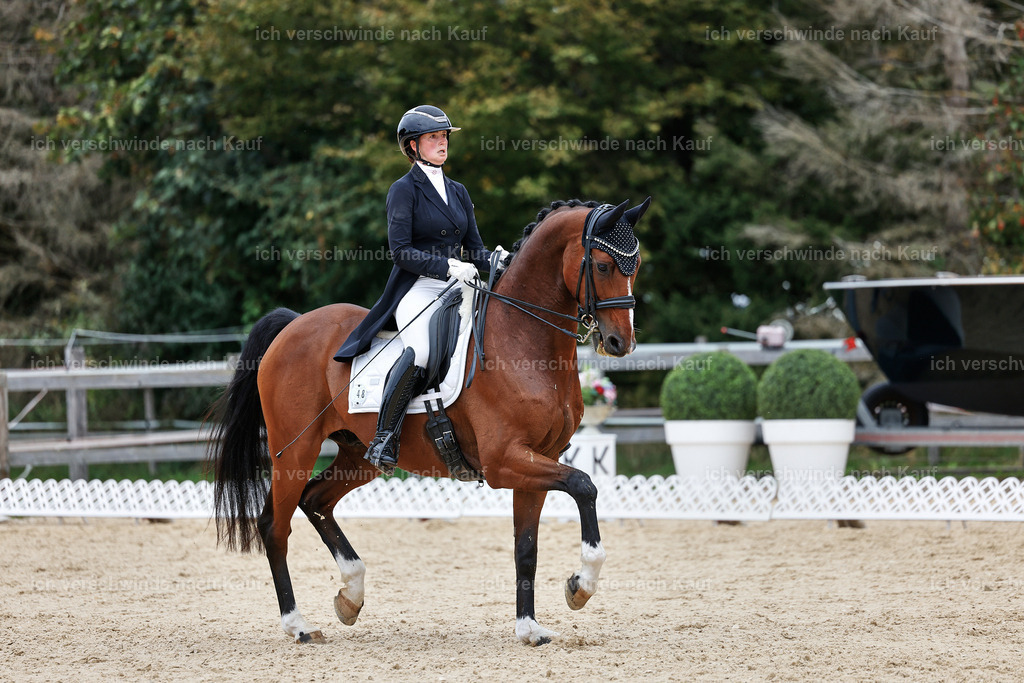 11-048-Dressur S___-StoibPH-1416 | working equitationturnier fotograf videograf stoibphotography marixx film working equitation deutschland reitsport turnierfotografie eventfotografie equestrian events