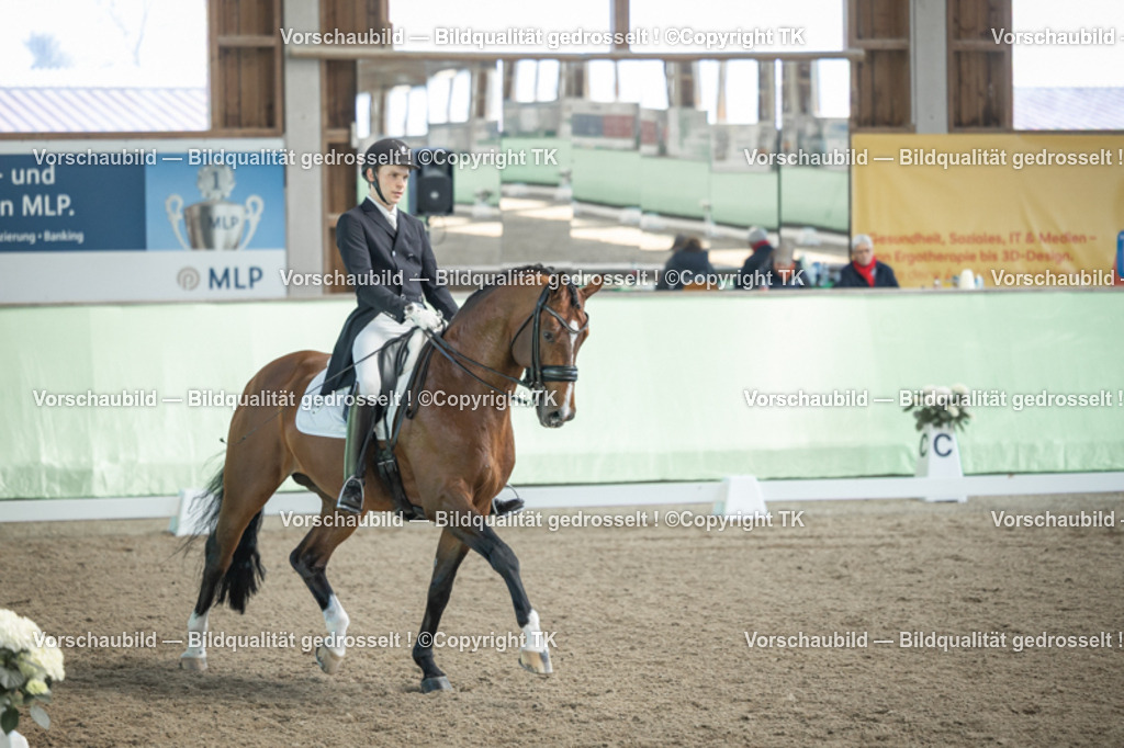 _D5A9729 | Emotionale Pferde- & People-Fotografie rund um Heidelberg, Leimen & Umgebung. Natürliche Fotos von Pferd, Mensch & Familie. Jetzt Termin sichern!