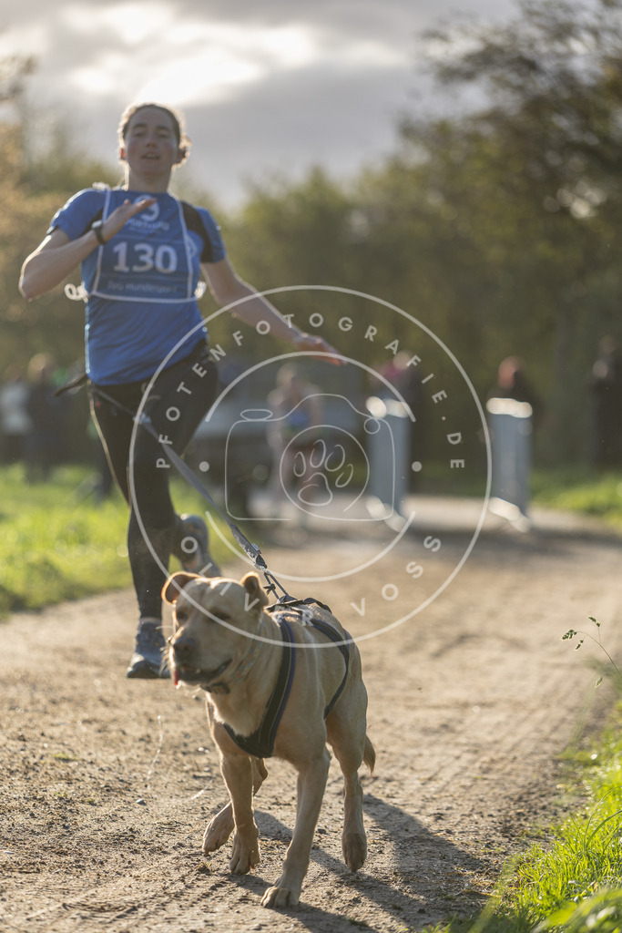 Pfotenfotografie.de_DV3A2936 | Hundefotografie, Tierfotograf, Pfotenfotografie, Fotoshooting Hund, Hunde Portrait, Hundesport, Hundeportraits, Heideshooting, Hunde, Sportfotograf, Hundefotograf, Turnierhundsport, THS, canicross - Realisiert mit Pictrs.com