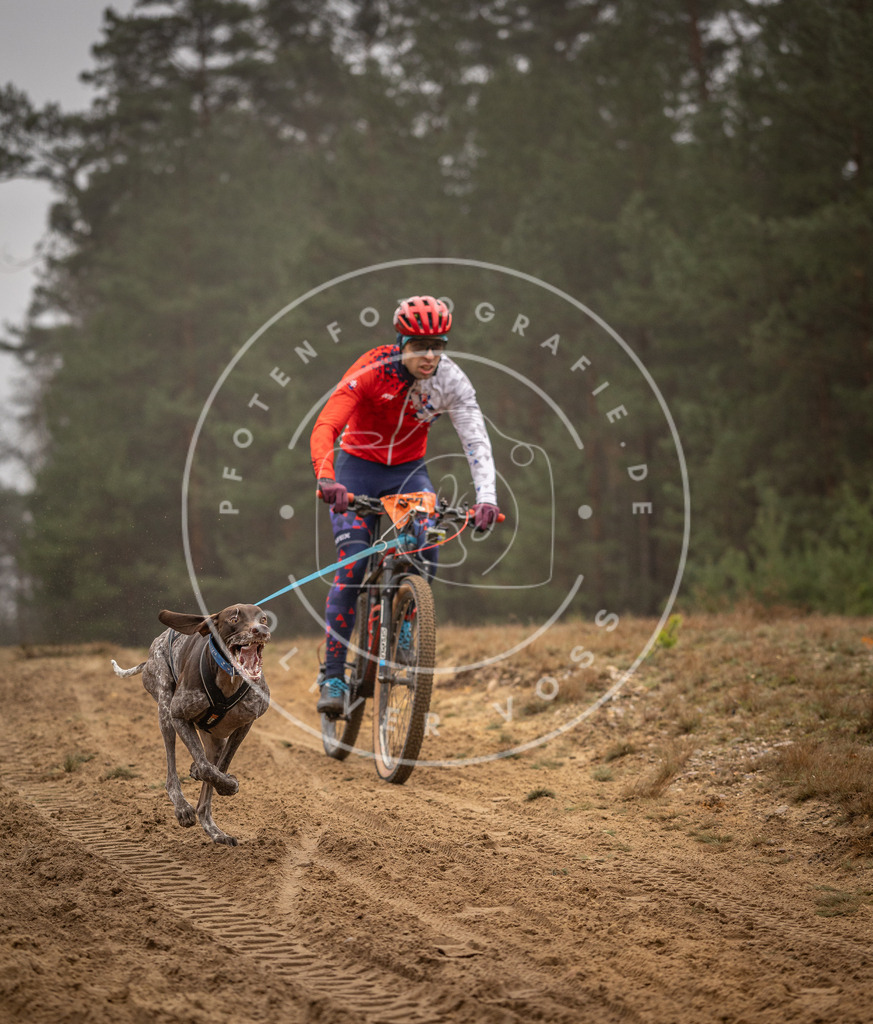 Pfotenfotografie_DV3A2397 | Hundefotografie, Tierfotograf, Pfotenfotografie, Fotoshooting Hund, Hunde Portrait, Hundesport, Hundeportraits, Heideshooting, Hunde, Sportfotograf, Hundefotograf, Turnierhundsport, THS,  - Realisiert mit Pictrs.com