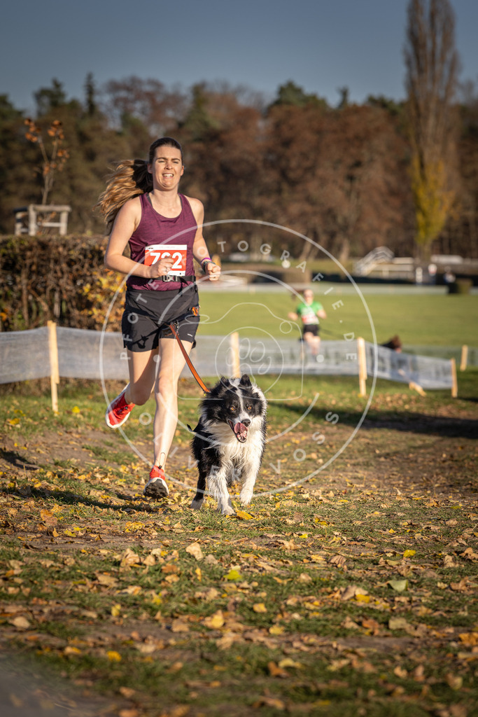 CaniXpix_DV3A1899 | Hundefotografie, Tierfotograf, Pfotenfotografie, Fotoshooting Hund, Hunde Portrait, Hundesport, Hundeportraits, Heideshooting, Hunde, Sportfotograf, Hundefotograf, Turnierhundsport, THS,  - Realisiert mit Pictrs.com
