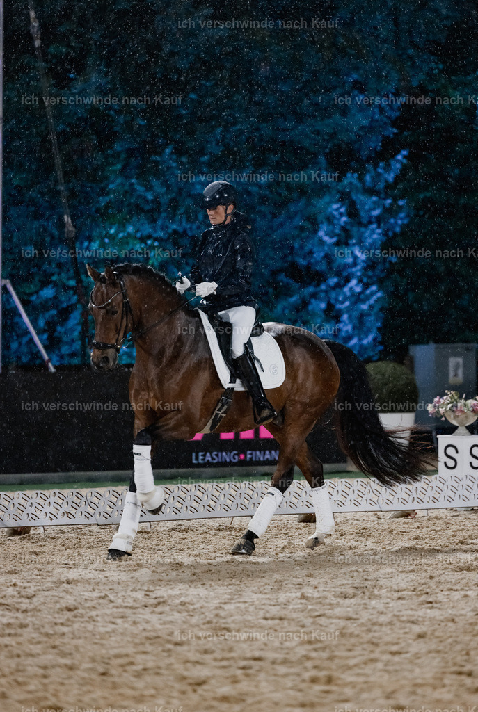 FHClassics-76 | working equitationturnier fotograf videograf stoibphotography marixx film working equitation deutschland reitsport turnierfotografie eventfotografie equestrian events