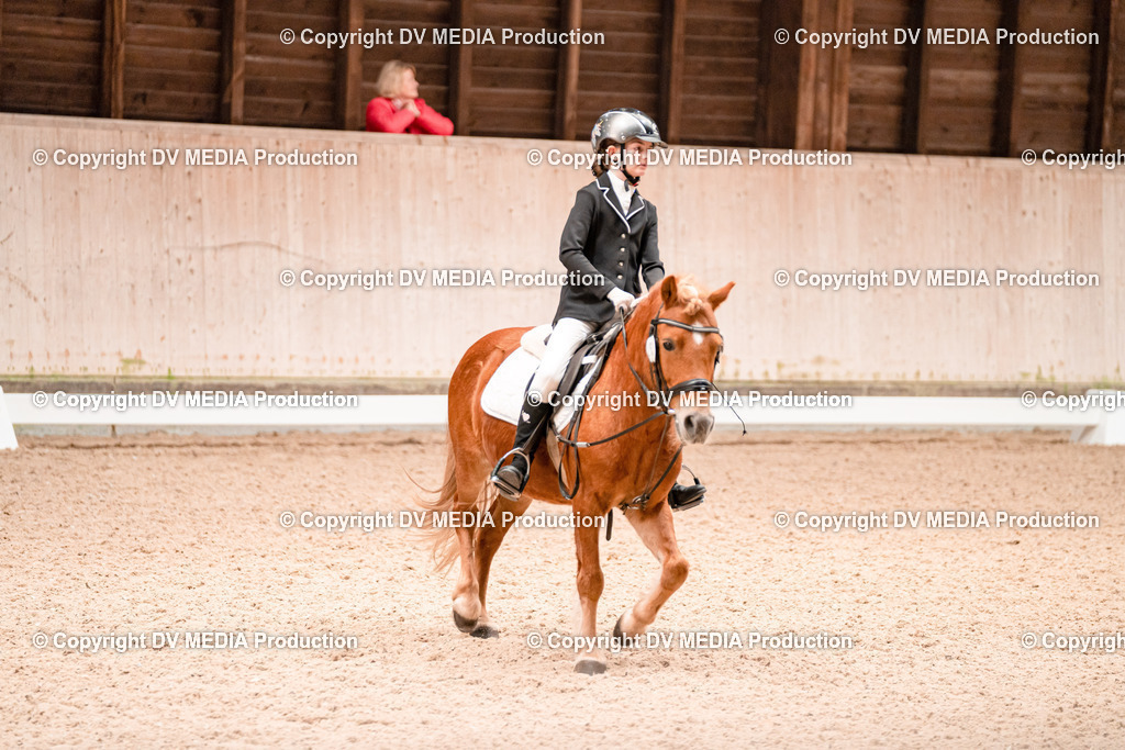 Dressur Tag 2-596 | dv-media-shop - Realisiert mit Pictrs.com