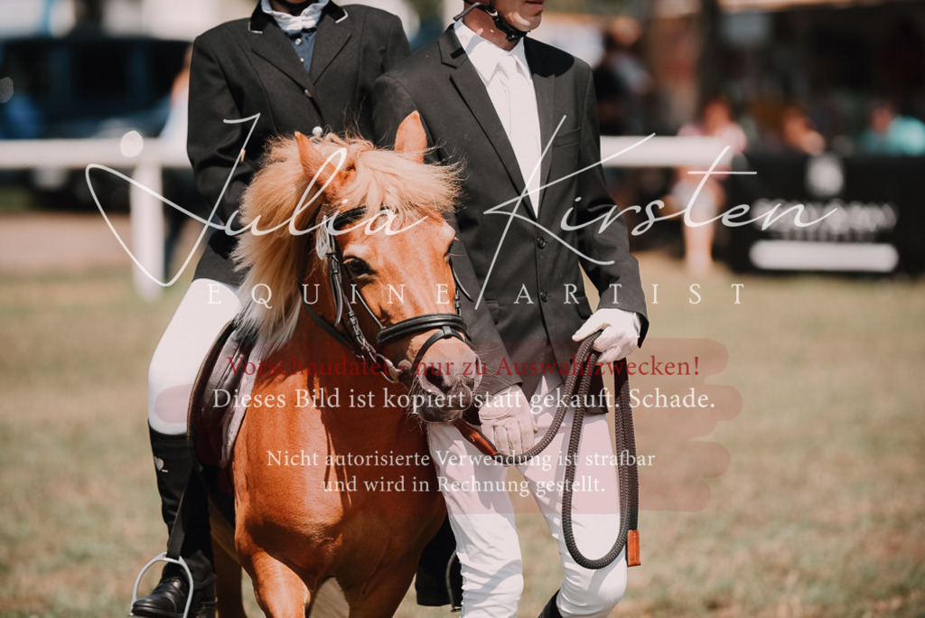DSC_5984 | Pferde- und Turnierfotografie in Westsachsen. Pferdeportraits, Auftragszeichnungen und intuitive Kunst.