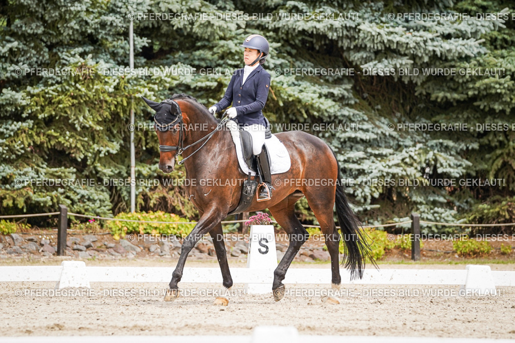 DSC05524 | Pferdegrafie