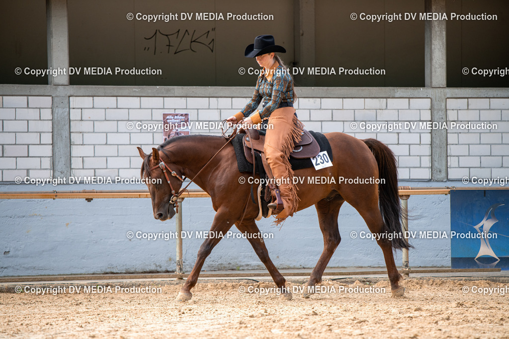 EWP_5689 | dv-media-shop - Realisiert mit Pictrs.com