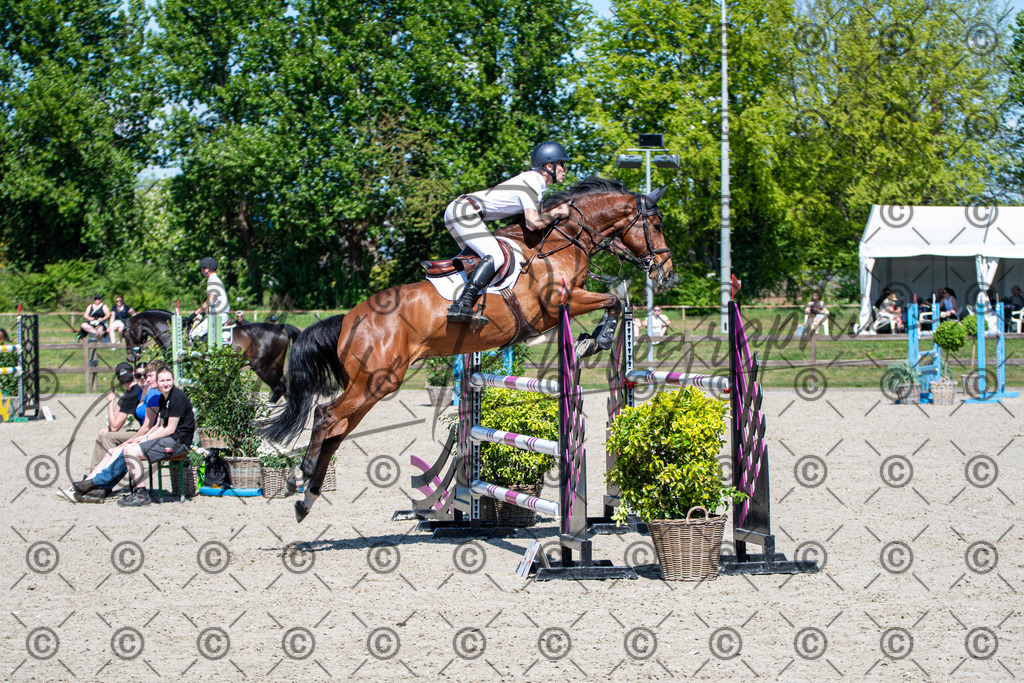 KPT_1209 | andre_photographic