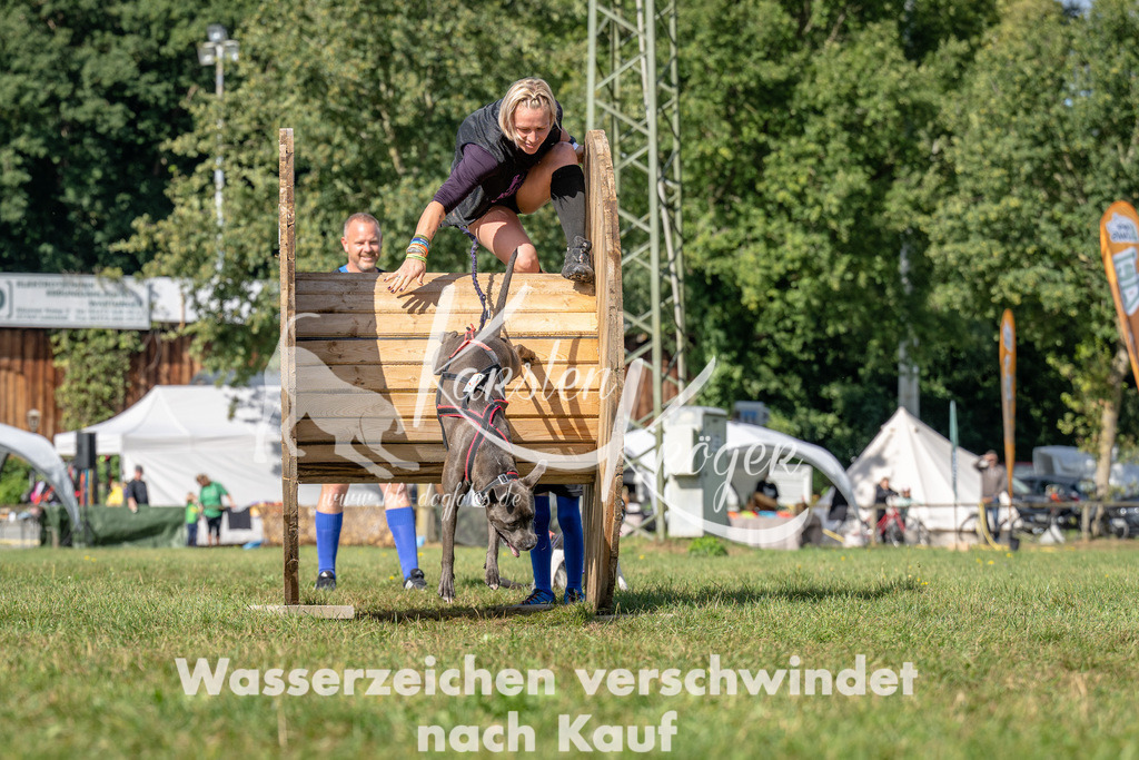 1119_ZZ94561 | kk-dogfotos